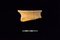 藏品(陶罐)的圖片